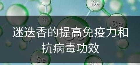 迷迭香的提高免疫力和抗病毒功效